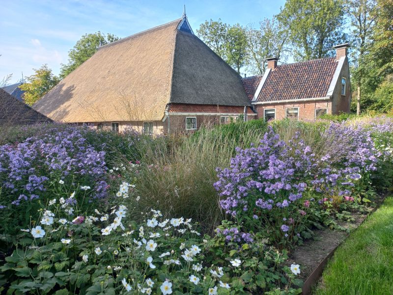 Boerderij Ropsterwei 14  
