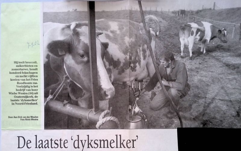 Personen - Wiebe Westra, dyksmelker  