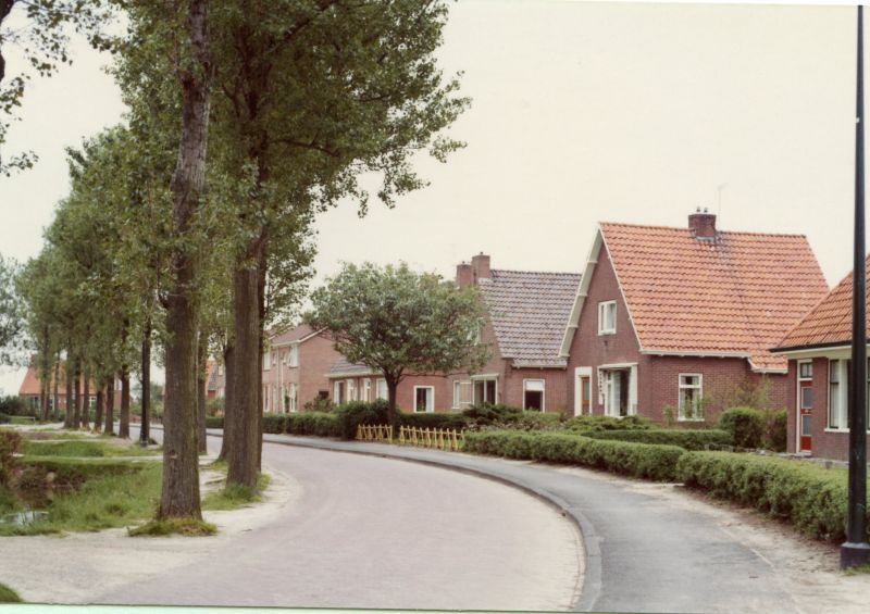 Buorfinne