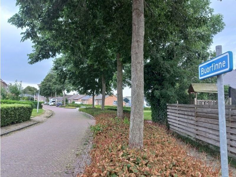 Buorfinne