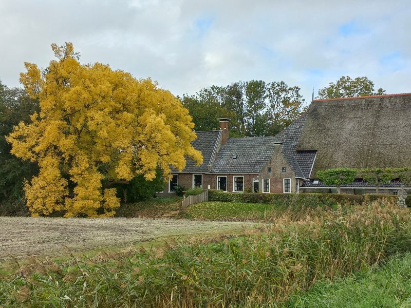 Boerderijen